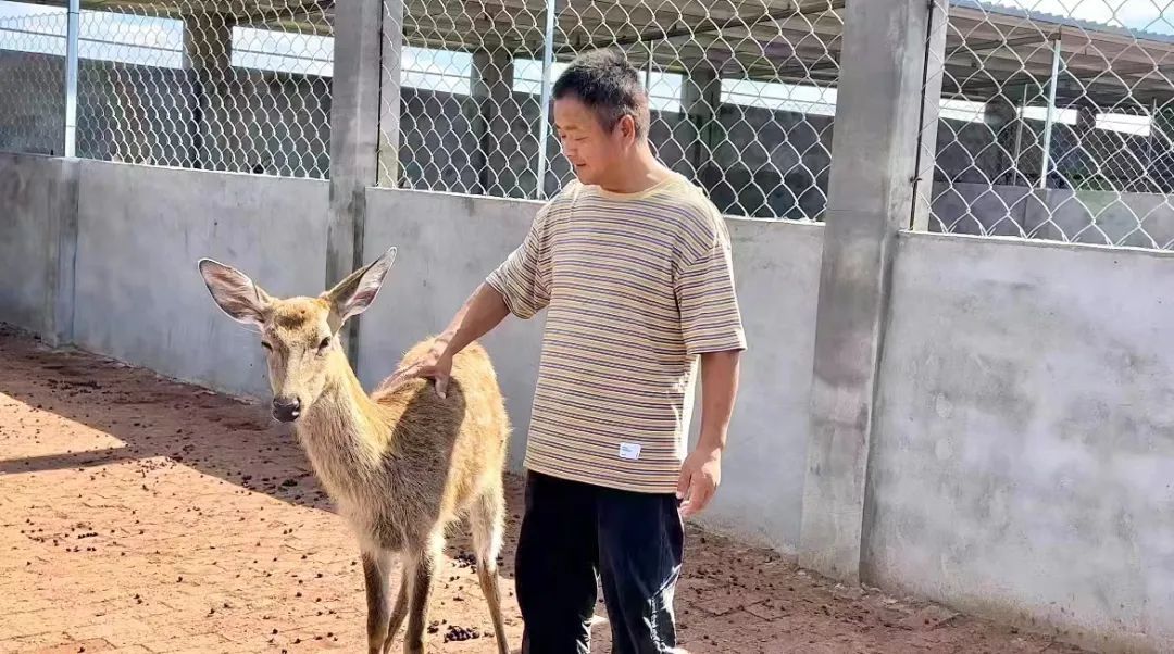qy88.vip千嬴